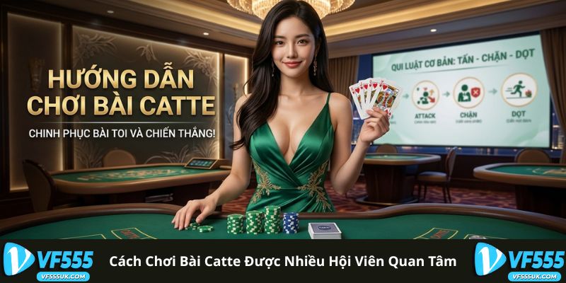 Cách chơi bài Catte được nhiều hội viên quan tâm
