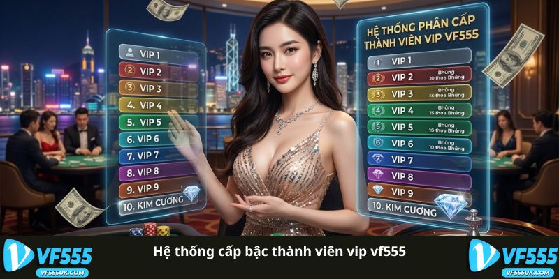 Hệ thống cấp bậc thành viên vip VF555